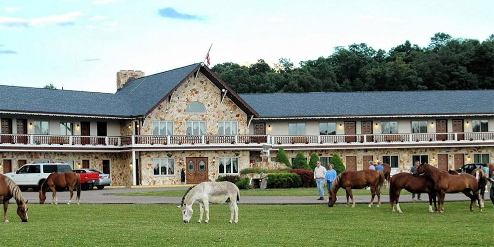 horses grazing in grass in front of the guggisberg swiss inn located near charm ohio